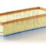 Air Filter C351601