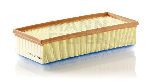 Air Filter C351601