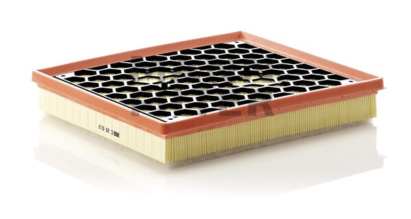 Air Filter C29012