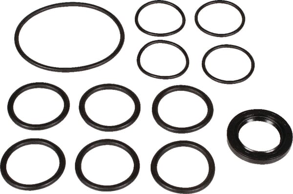 Set piese de rezervă pompă Bertolini 639880973