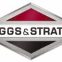 Mount-vibration 319451GS