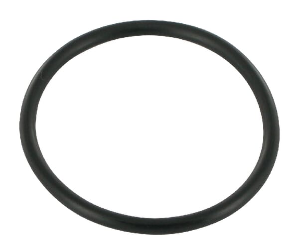 O-ring 195522M1GP