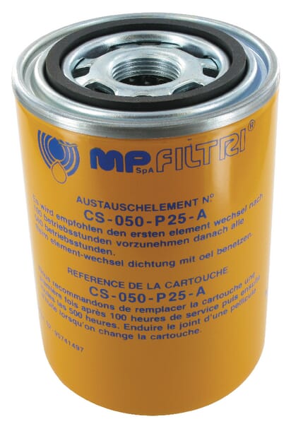 Element de filtrare 25 µm CS050P25