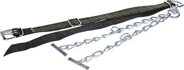 Curea de gât pentru tauri 170x7cm cu lanț dublu și carabină 803062KR