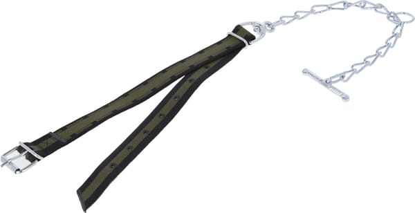 Curea de gât pentru vite tinere 150x5cm 803060KR