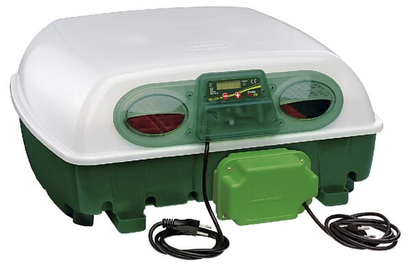 Incubator Covina Super, automat 49 1646700049