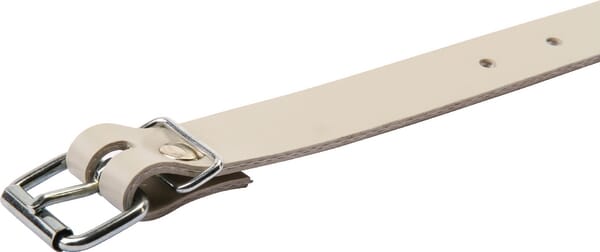 Curea TIR 500 mm PL10014