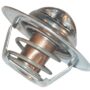 Termostat NH 83913875N