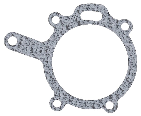 Garnitură pompă apă 4222457M1