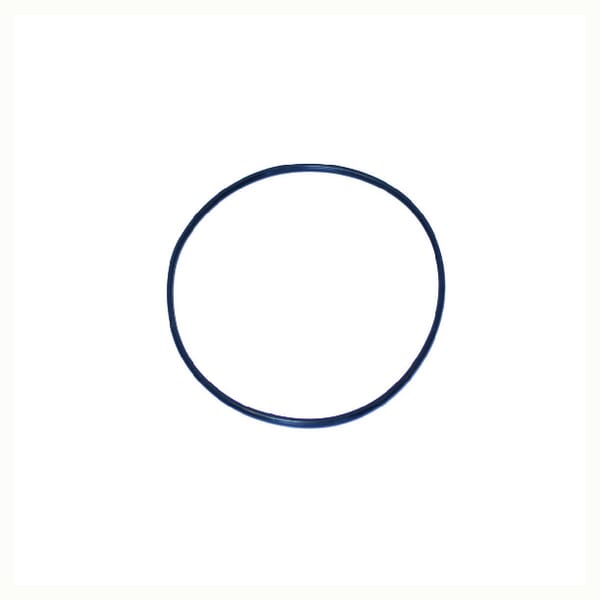 O-ring NWS01118