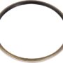 Oil seal 3844044820