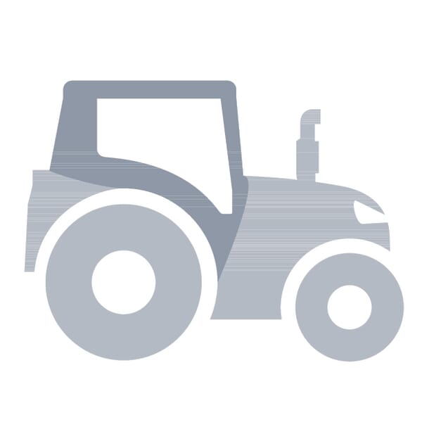 Windscreen MA961160