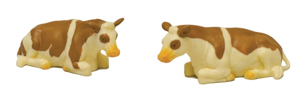 Două vaci tărcate, așezate 571969